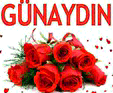 gnydn